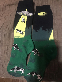My wife got me these Best socks ever