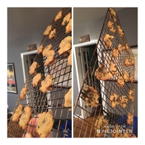 My wife got the munchies last night and figured this was a good way to bake cookies