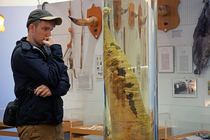 My wife got this pic of me staring incredulously at a whale dong in the Icelandic Phallological Museum