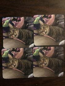 My wife got us coasters of our cat