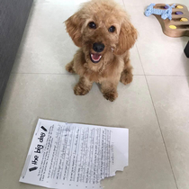My wife is a teacher and our dog ate her students homework to their surprise