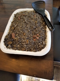 My wife made a kitty litter cake for a work event People were scared to try it