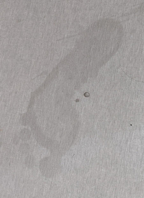 My wife pointed out that wet footprints look like penises and I cant unsee it now Lol