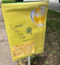 My wife saw this lemonade stand sign