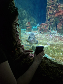 My wife showing a Grouper Fish his own picture