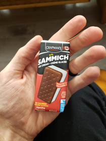 My wife thought she bought regular sized ice cream sandwiches