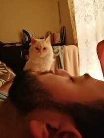 My wife took this picture this morning while I was still asleep apparently someone watches me sleep