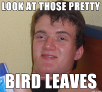 My wife trying to say feathers