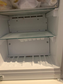 My wife went crazy looking for the ice tray she put in the freezer this morning  we definitely had a good laugh when we finally found where it was