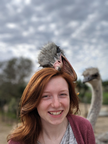 My wifes first ostrich encounter