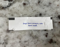 My wifes fortune cookie fortune