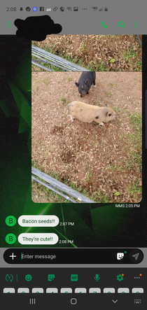 My wifes response to me seeing a couple little porkers on a job site