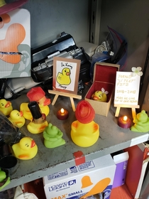 My work had a rubber duck mascot and come yesterday we found somebody had killed him So today we held a service