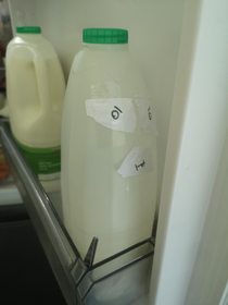 My  year old daughter informed me that the milk had gone bad