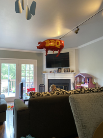 My  year old daughter said she wanted the pig balloon at the grocery store today Took me a second to understand what she was looking at