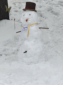 My  year old son made a snowman