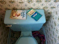 My yo daughters bathroom reading is getting a little heavy