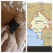 My YO son with Autism just informed me that the stitched eye of his stuffed animal kind of looks like the country of Montenegro I had to look it upHes a bit into geography right now and never ceases to amaze me