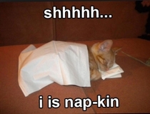 Nap-kin