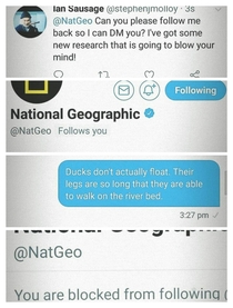 NatGeo wasnt ready for this Madlads theory
