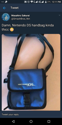 NDS cool ass bag
