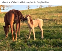 Neighbelline MooYork