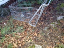 Neighborhoods so ghetto the shopping cart wheels were stolen