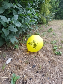 Neighbors had a party last night found this in my yard