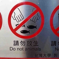 Never animals