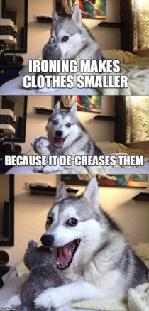 Never enough pun joke dog