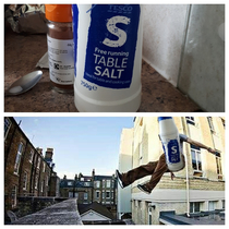Never knew that salt was into parkour
