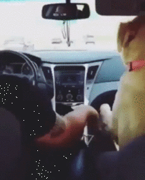 Never let go of my hand