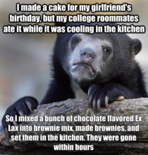 Never mess with this confession bear