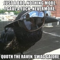 Nevermore bro