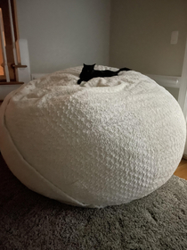 New cat bed Whatcha think
