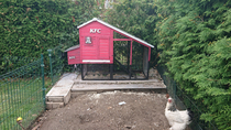 New chicken coop