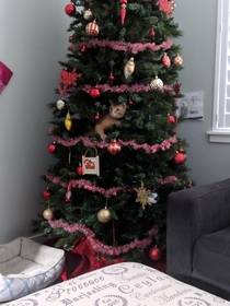 New Christmas tree ornament