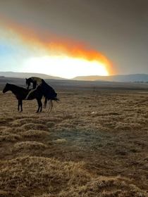 New Mexico Fire