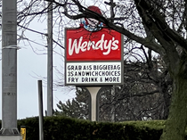 New offering at Wendys- The Grab A Biggie Bag