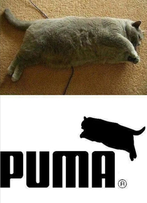 new puma logo
