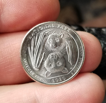 New  US quarter Cant make this up