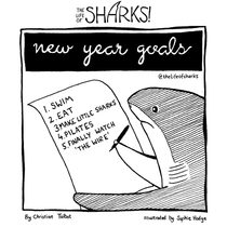 New Year Goals