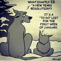 New Year Resolution