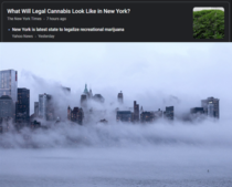 New York Legalization