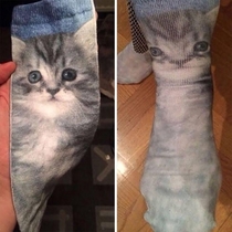 Nice cat socks