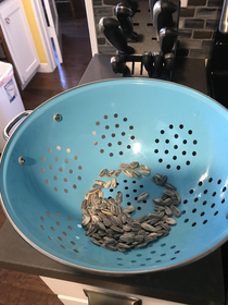 Nice family kitchens have nice bowls of fresh fruit This is what a bachelor kitchen has Sunflower seeds are fruit right