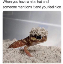Nice hat