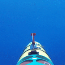 Nice to meet you underwater camera Im shark