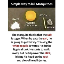 Nice tutorial for the summer