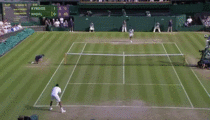 Nick Kyrgios - ridiculous Wimbledon shot